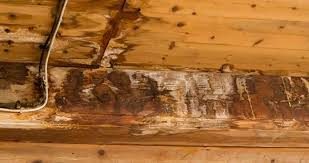 Water damage on roof decking